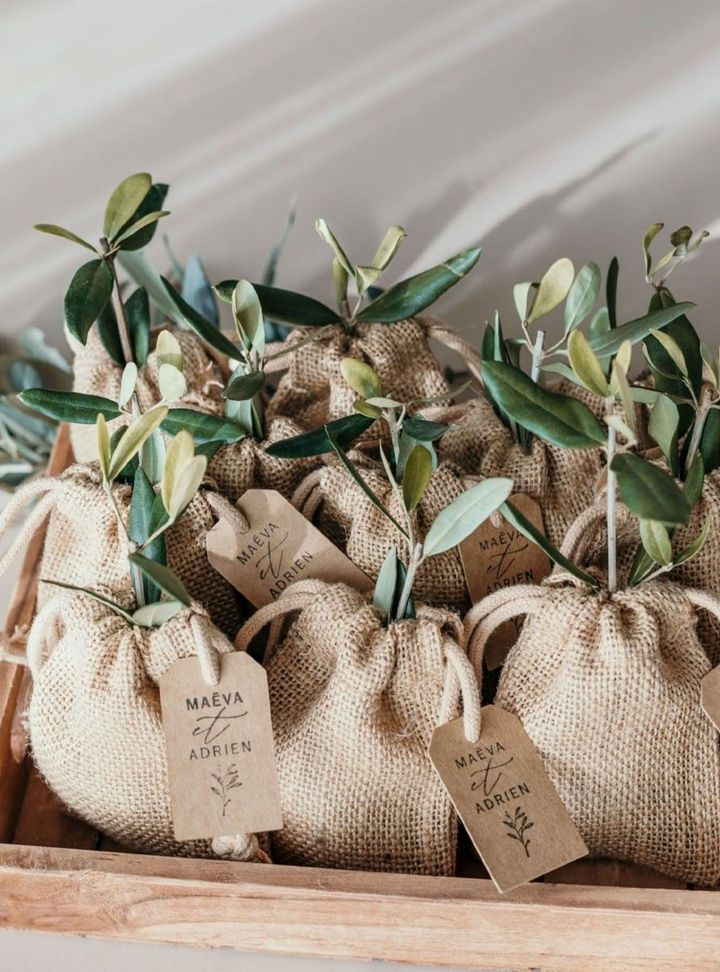 NSH-50-26 Tohum/fidan Nikah Hediyelik