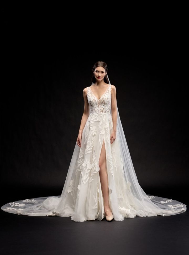 2025 Justin Alexander -3-25