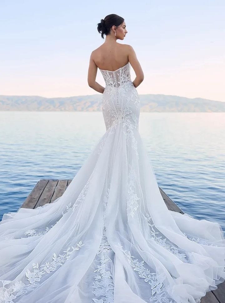 2025 Sophia Tolli -4-25