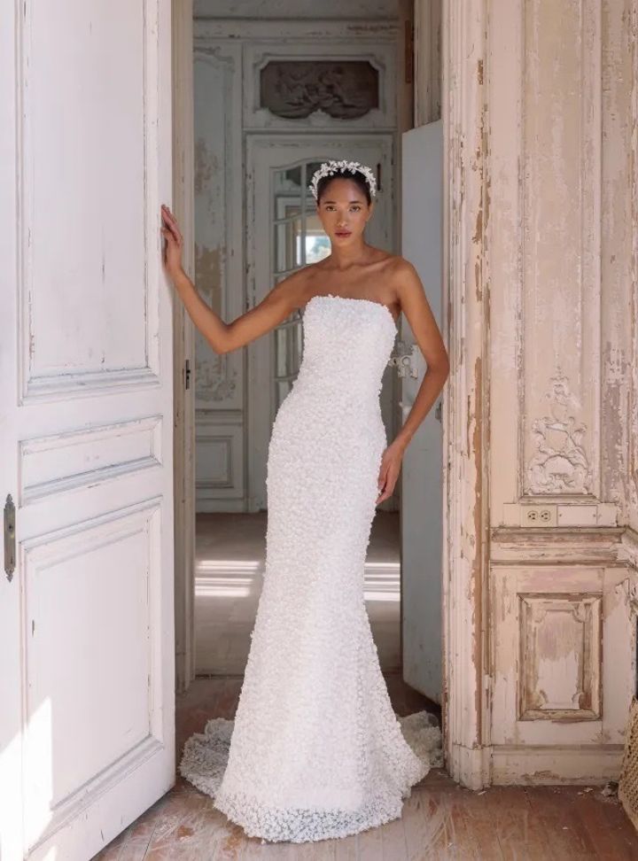 2025 Sareh Nouri -1-25