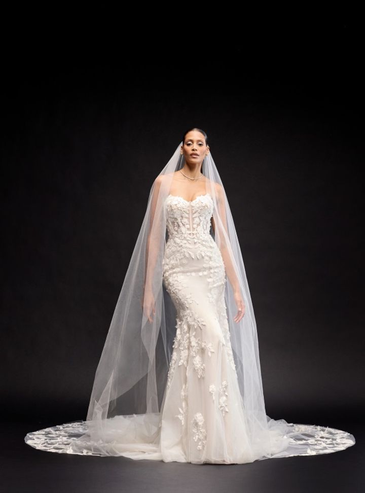 2025 Justin Alexander -10-25