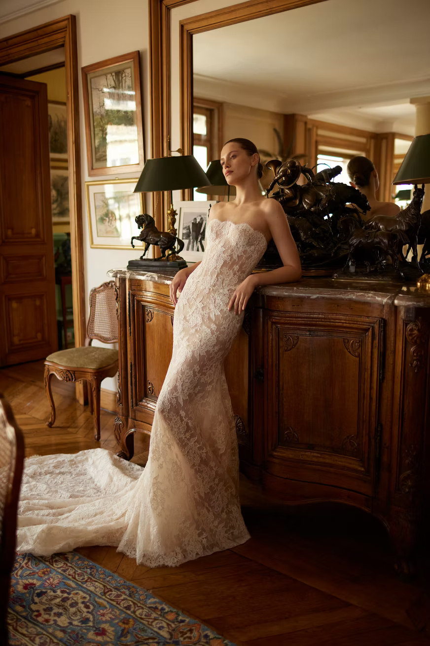 2026 Dana Harel -3-26