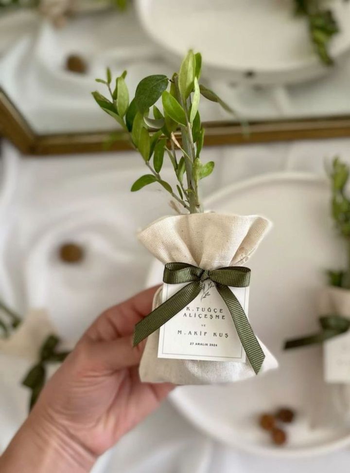 NSH-49-26 Tohum/fidan Nikah Hediyelik