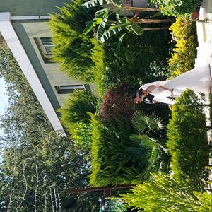 İz Air Vip Düğün Aracı1