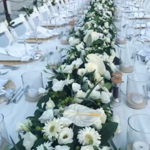 Mila Parti Organizasyon1