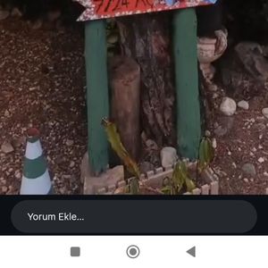 Işık Kır Bahçesi4