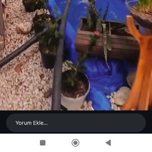 Işık Kır Bahçesi5