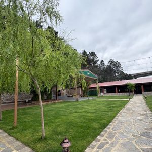 Ihlamur Dalı1