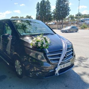 Forvip Transfer3