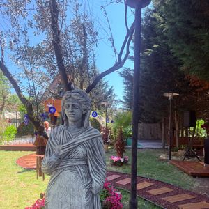 Los Olivos1